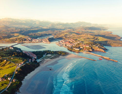 Polaznici Februar 2026